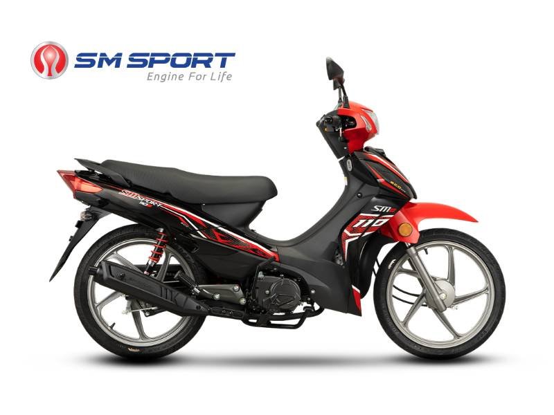 02-SMSport110E SMSport 110E